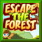 Escape The Forest
