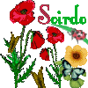 Avatar du membre